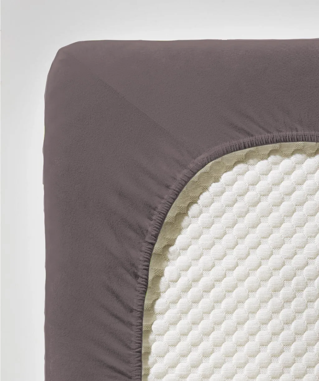 fleuresse-Comfort Feige – Detail 2