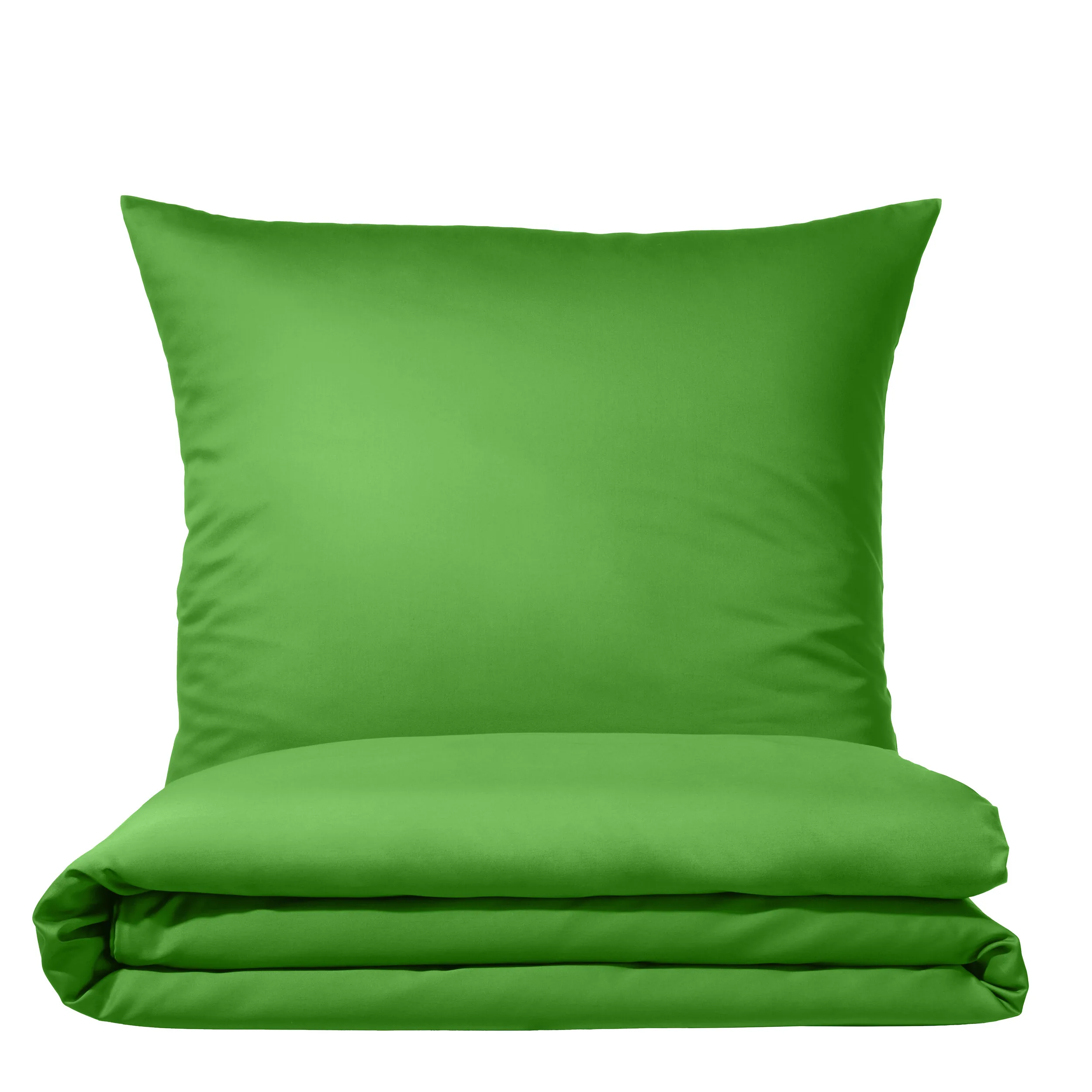 Colours 9100 Grasgrün – Freisteller