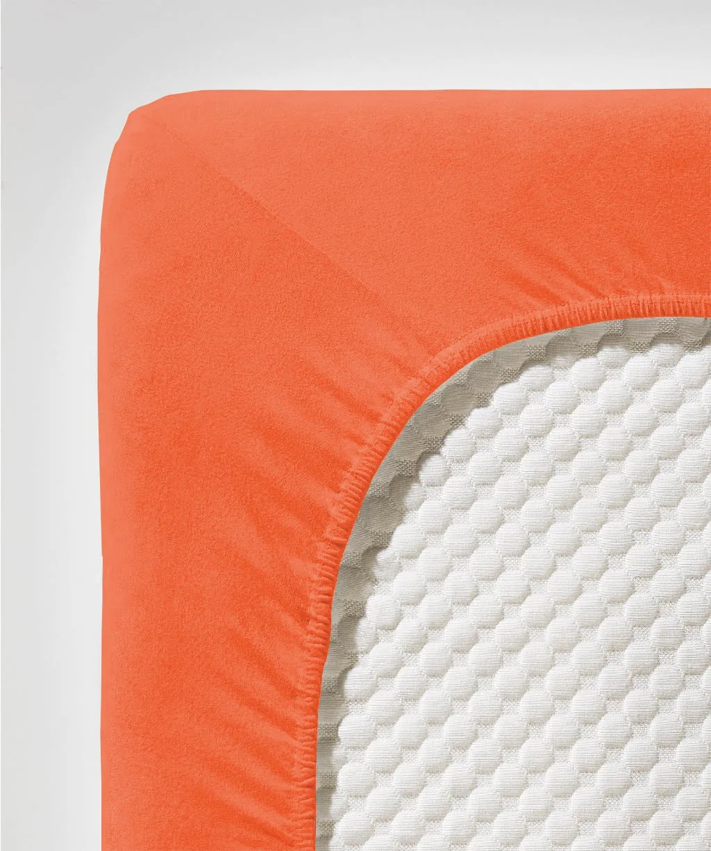 Jenny C Terra – Detail