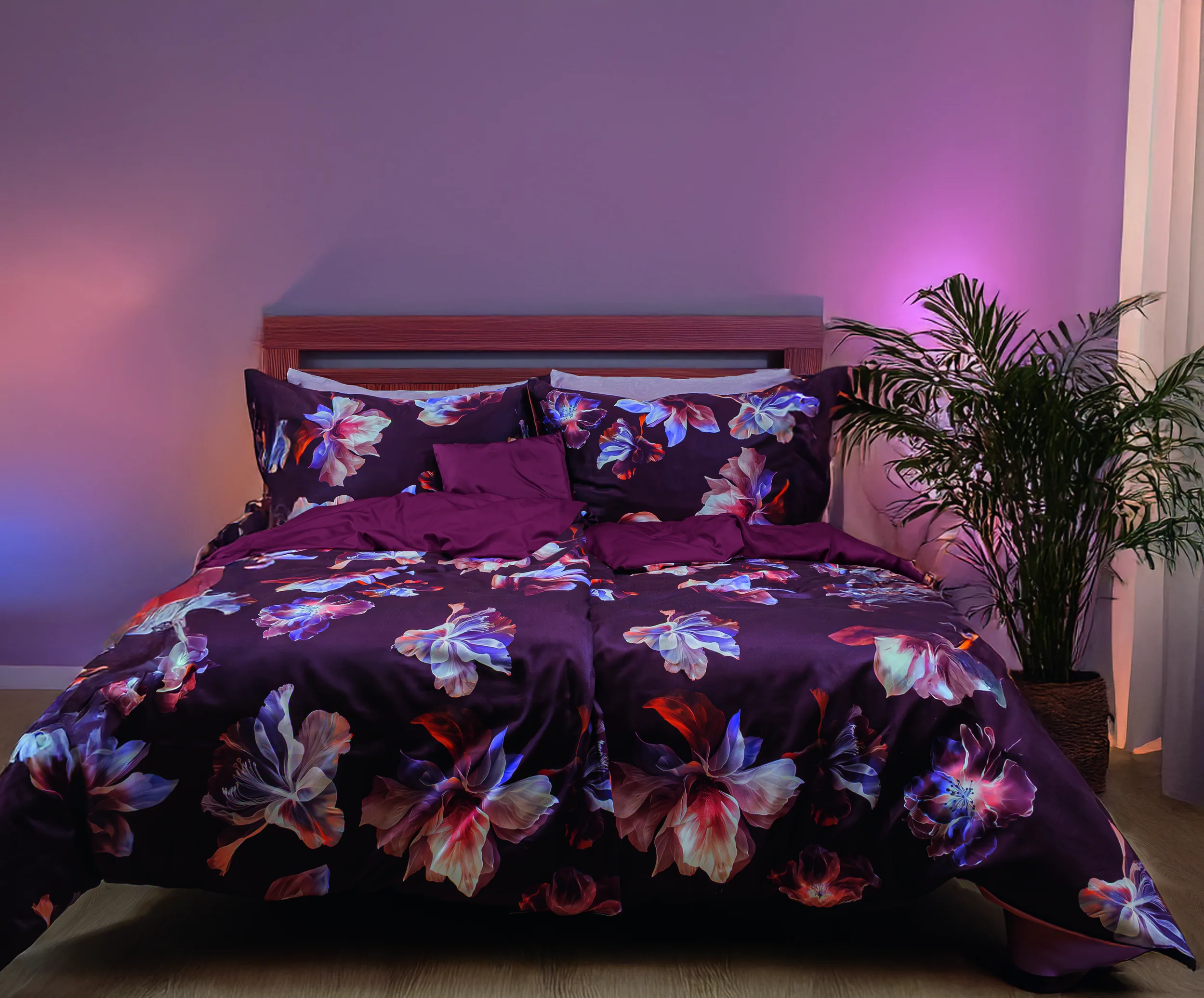 Modern Elegance 0004 – Ambiente