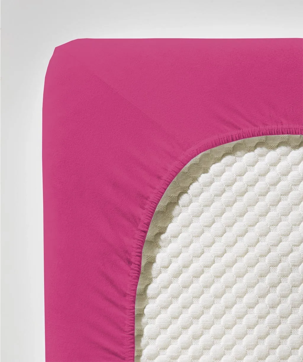 Jenny C Cassis – Detail